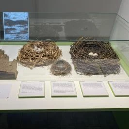 Körösvölgyi Állatpark, Szarvas - Egyéb