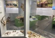 Körösvölgyi Állatpark Szarvas