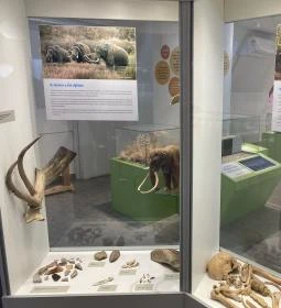 Körösvölgyi Állatpark