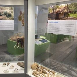 Körösvölgyi Állatpark, Szarvas - Egyéb