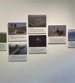 Körösvölgyi Állatpark