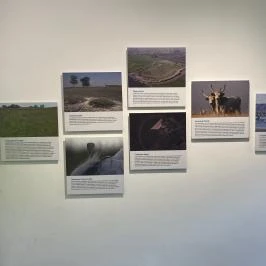 Körösvölgyi Állatpark, Szarvas - Egyéb