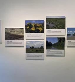 Körösvölgyi Állatpark