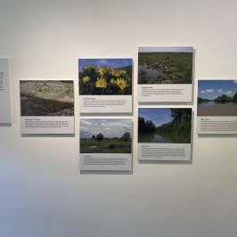 Körösvölgyi Állatpark, Szarvas - Egyéb