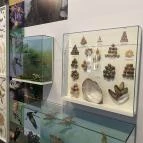 Körösvölgyi Állatpark Szarvas - Egyéb