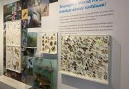 Körösvölgyi Állatpark Szarvas