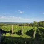 Laci Pince Csárda Vászoly - Egyéb