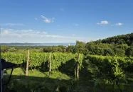 Laci Pince Csárda Vászoly