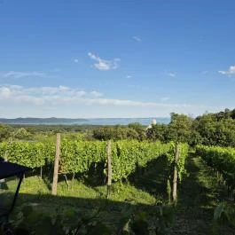 Laci Pince Csárda Vászoly - Egyéb