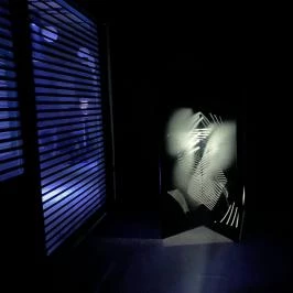 Light Art Museum Budapest - Egyéb