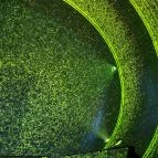 Light Art Museum Budapest - Egyéb