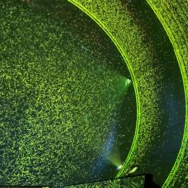 Light Art Museum Budapest - Egyéb