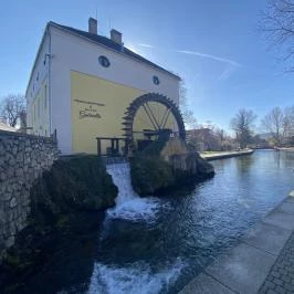 Malom-tó, Tapolca - Egyéb