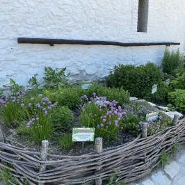 Sümegi vár, Sümeg - Egyéb