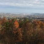 Széchenyi-hegyi Gyermekvasút Budapest - Egyéb