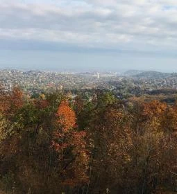 Széchenyi-hegyi Gyermekvasút