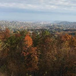 Széchenyi-hegyi Gyermekvasút, Budapest - Egyéb