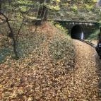 Széchenyi-hegyi Gyermekvasút Budapest - Egyéb