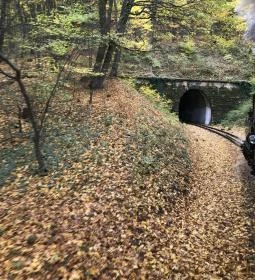 Széchenyi-hegyi Gyermekvasút