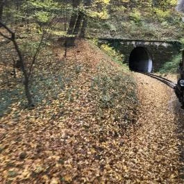 Széchenyi-hegyi Gyermekvasút, Budapest - Egyéb