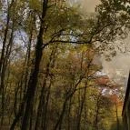 Széchenyi-hegyi Gyermekvasút Budapest - Egyéb