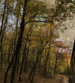 Széchenyi-hegyi Gyermekvasút