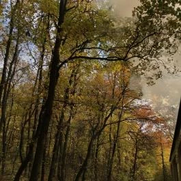 Széchenyi-hegyi Gyermekvasút, Budapest - Egyéb