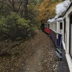 Széchenyi-hegyi Gyermekvasút Budapest - Egyéb