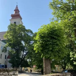 Sarlós Boldogasszony ferences kegytemplom Sümeg - Egyéb