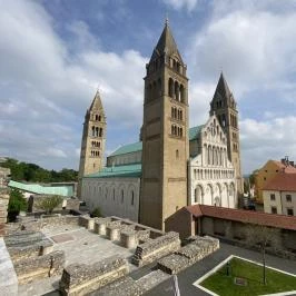 Szent Péter- és Szent Pál Székesegyház, Pécs - Egyéb
