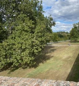 Szigetvári Zrínyi Vár