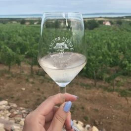 Tagyon Birtok, Tagyon - Egyéb