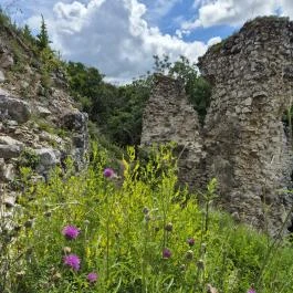 Vitányvár, Vértessomló - Egyéb
