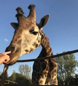 Xantus János Állatkert Győr