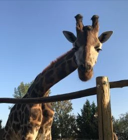 Xantus János Állatkert Győr