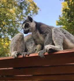 Xantus János Állatkert Győr