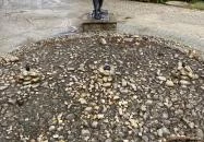 Zalakarosi Vízbelépő lány szobra Zalakaros