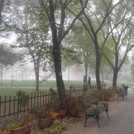 Solaris Apartman & Resort Cserkeszőlő - Környék