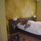 Duna Residence Dunaszentmiklós - Szobák