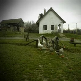 Puchner Kastélyszálló, Bikal - Környék