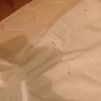 Solar Club Hotel Sopron - Egyéb