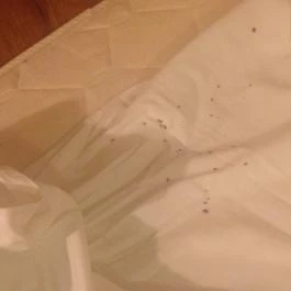 Solar Club Hotel, Sopron - Egyéb