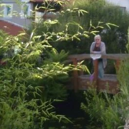 Aqua Hotel Kistelek, Kistelek - Környék