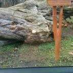 Erzsébet Park Hotel Parádfürdő - Környék