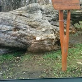 Erzsébet Park Hotel, Parádfürdő - Környék