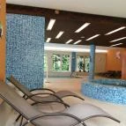 Royal Club Hotel Visegrád - Wellness
