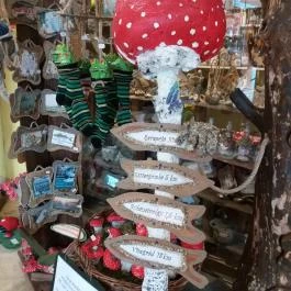 Hotel Bellevue Esztergom - Egyéb