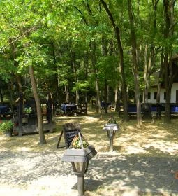 Székely Tanya Étterem & Rendezvényközpont