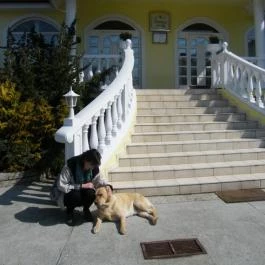 Gosztola Gyöngye-az erdő szállodája Gosztola - Külső kép