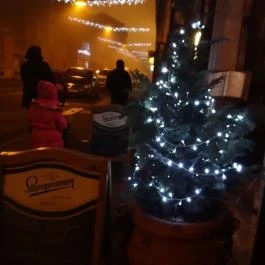 Alabárdos Étterem Szeged - Belső